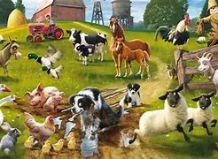 YAG -Day at the Farm
