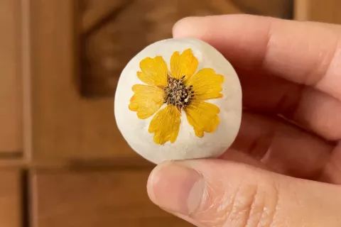 Wildflower Seed Bombs