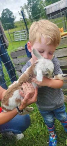 Storytime at the Farm