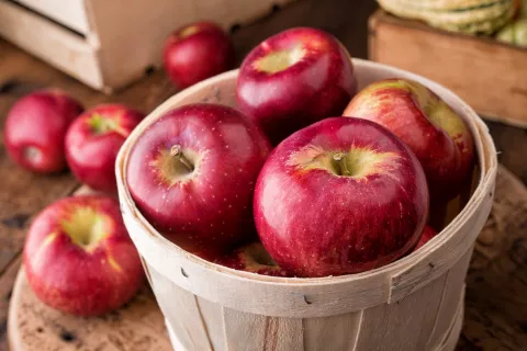 Apple Storytime 
