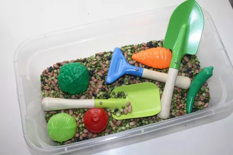 Sensory time-Garden and Nature