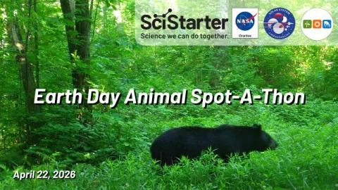 Animal Spot-a-Thon - Salem Library