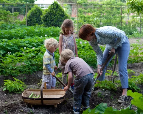 Junior Garden Club 