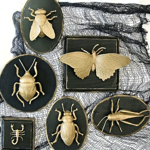 Faux Taxidermy - Salem Branch