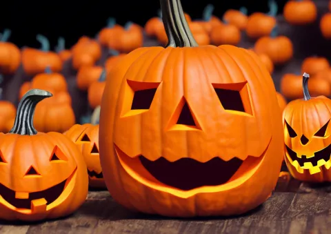 Jack O Lantern Contest 
