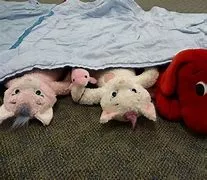 Storytime stuffed animal sleepover
